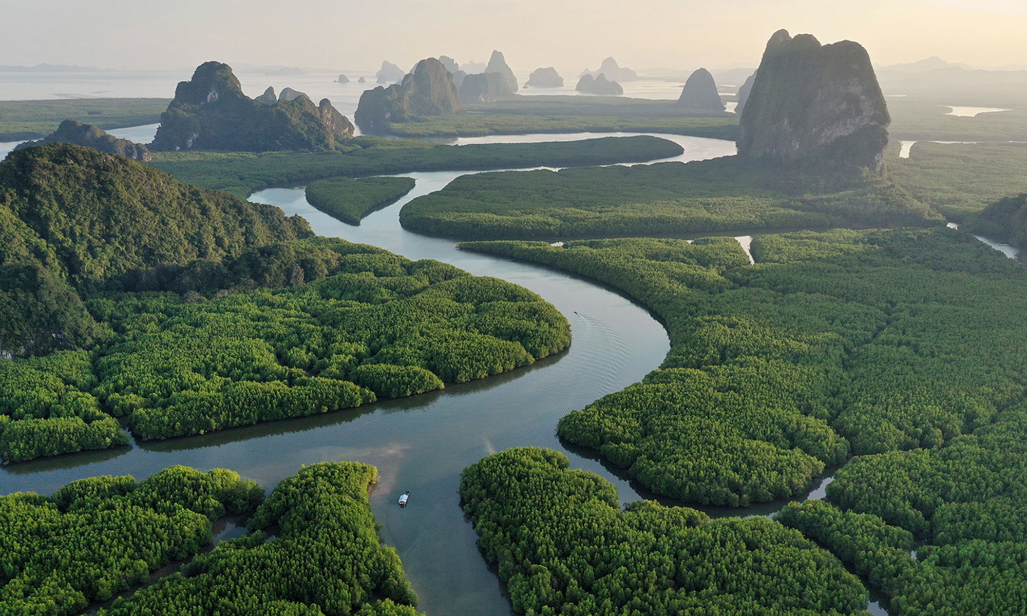 河流与森林