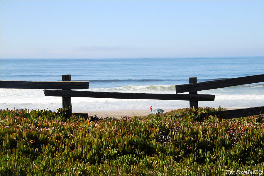 Point Reyes Beach North, California 