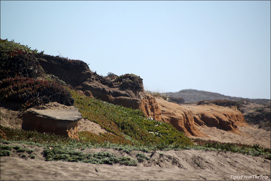 Point Reyes Beach North, California 