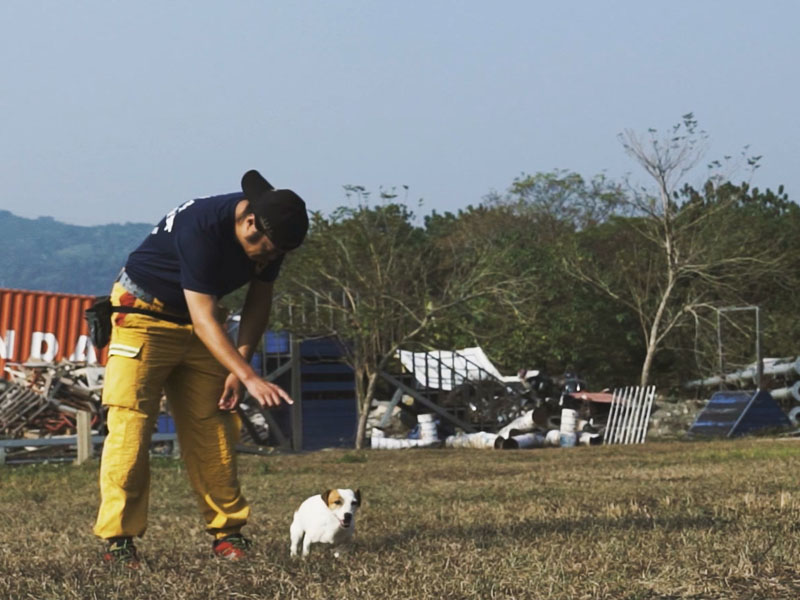 聯合國認證搜救犬亞洲僅9隻！7隻來自台灣！