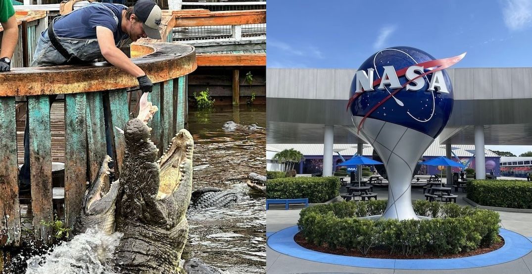 @gatorland_orlando/Instagram | @kennedyspacecenter/Instagram