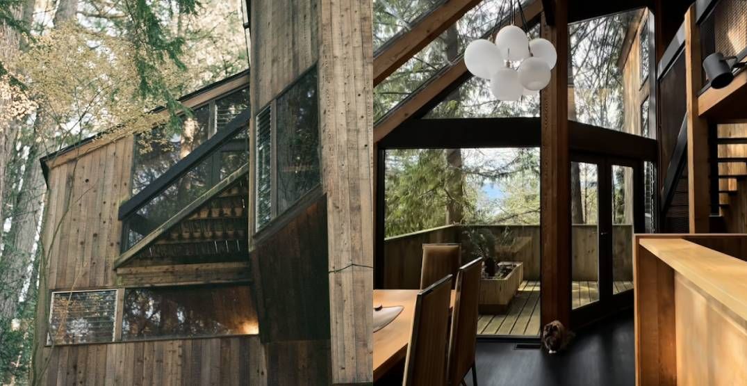 Jaw-dropping "tree house" in BC sold for just over $2 million