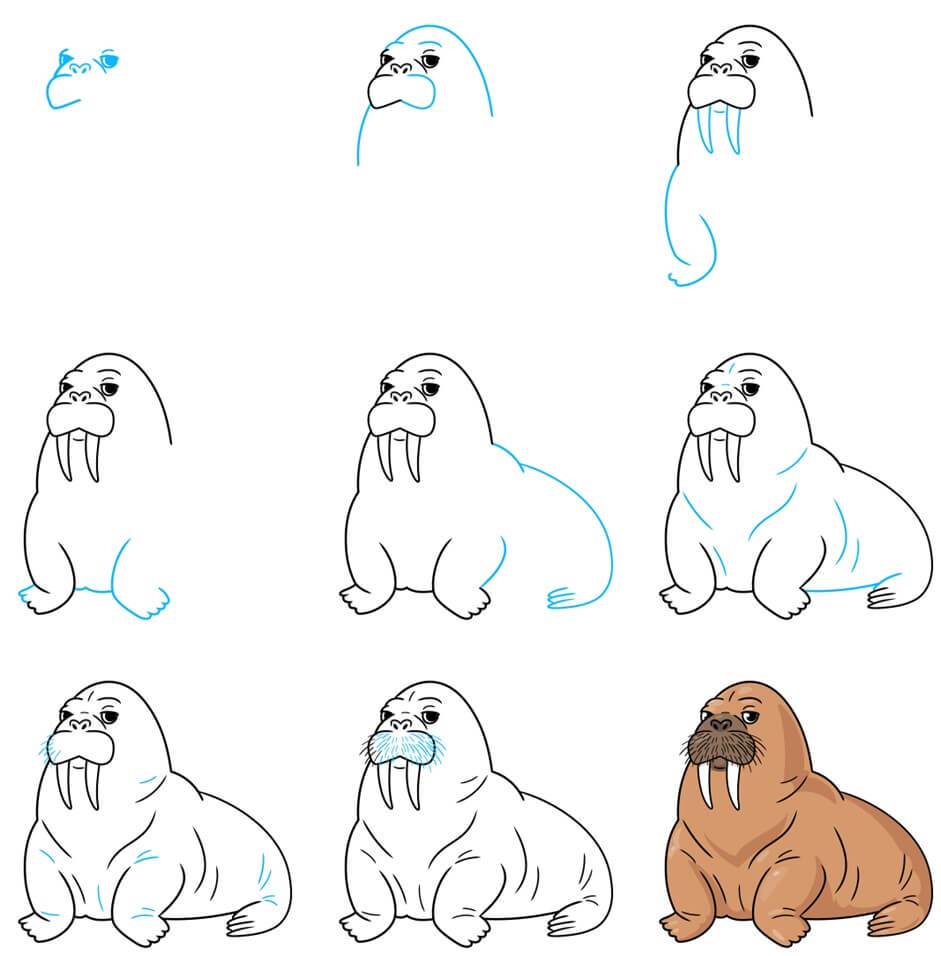 Walrus Drawing Ideas