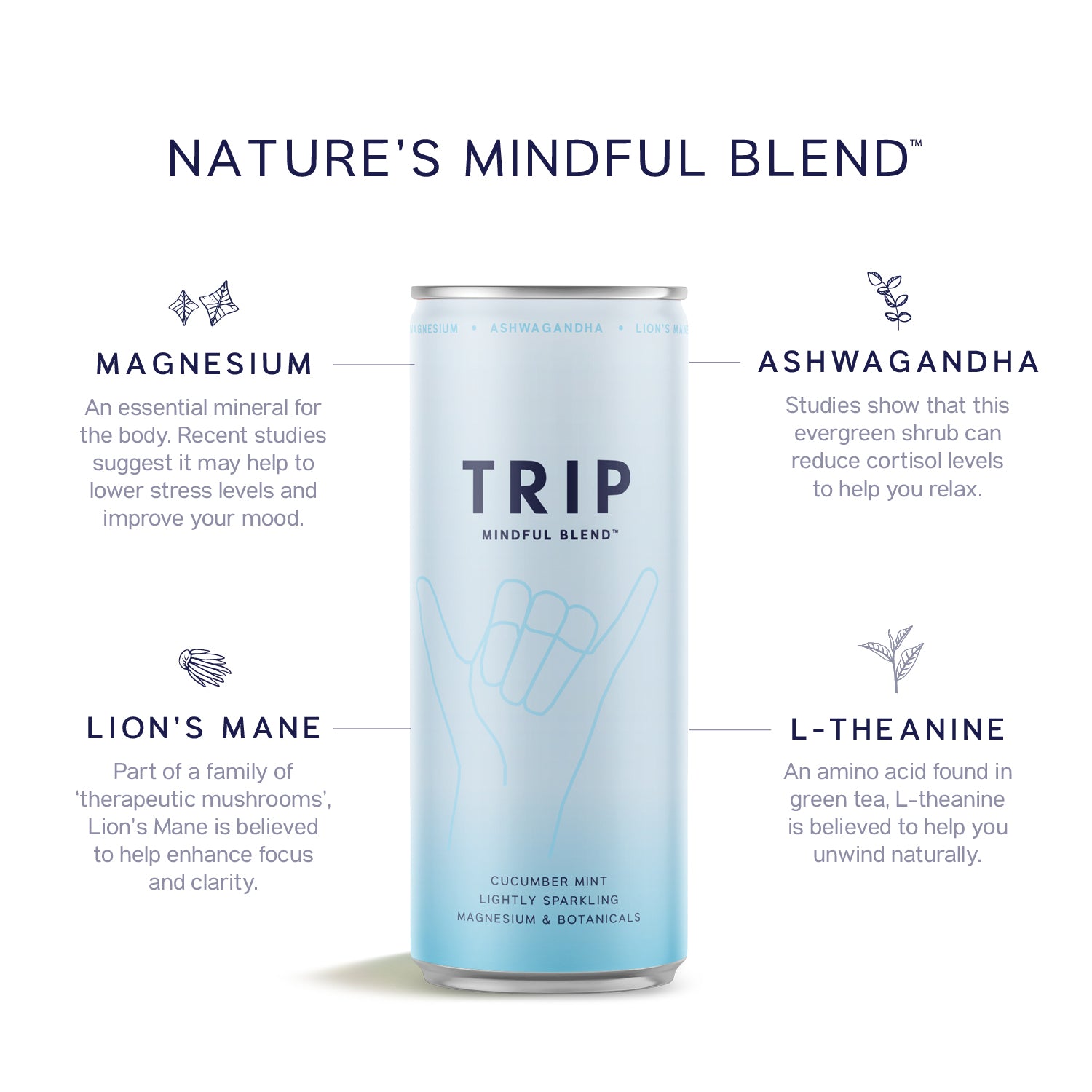 Cucumber Mint Mindful Blend