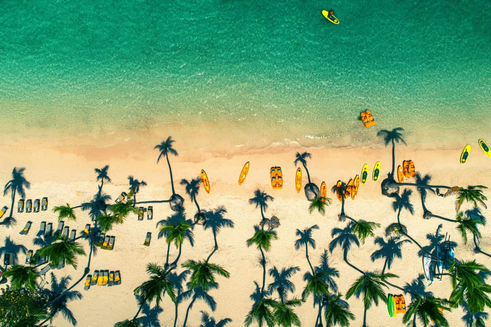 aerial drone photo looking down at beach with palm trees and paddle boats in Hawaii