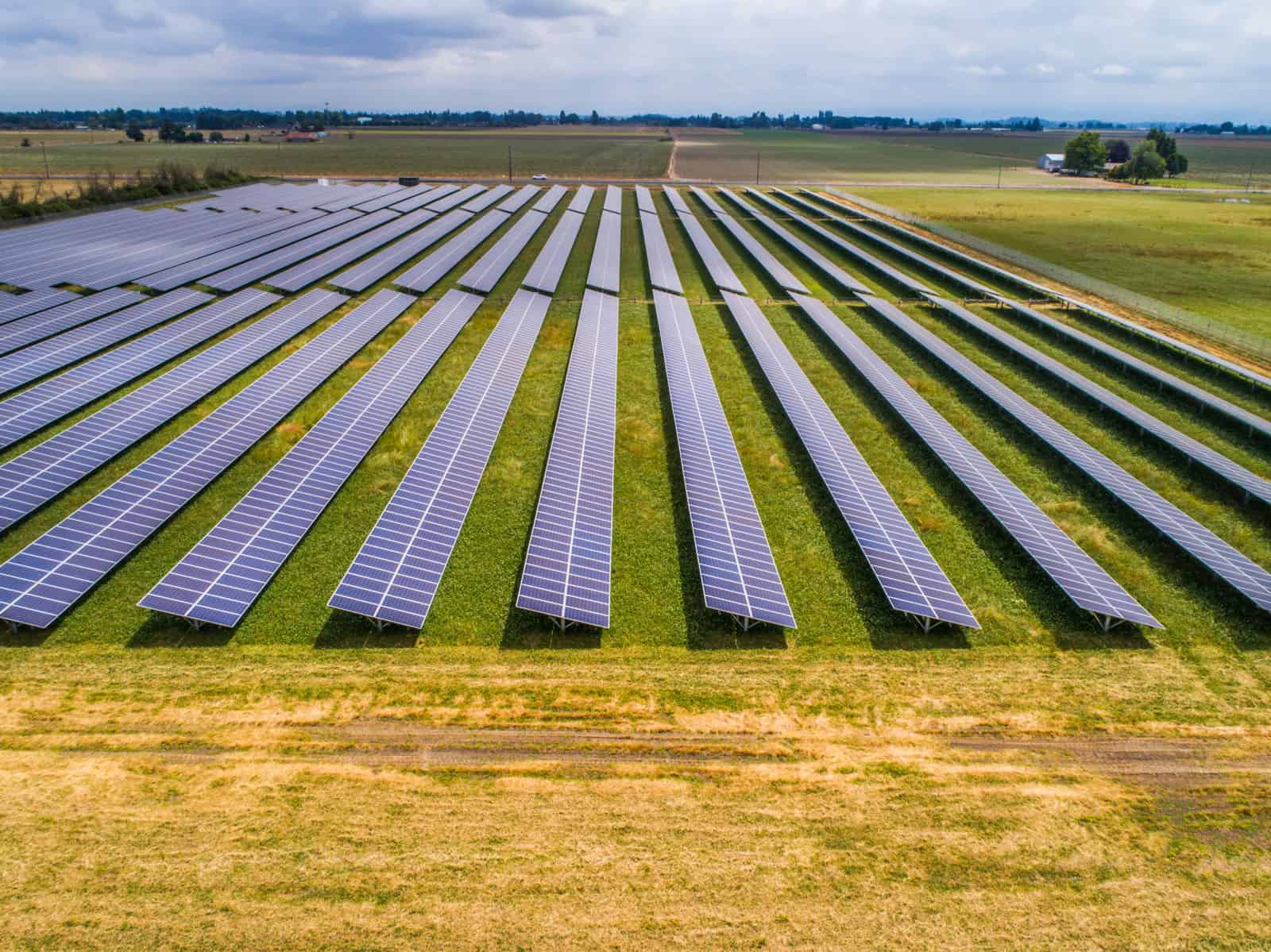 side view of solar panels on field taken from drone