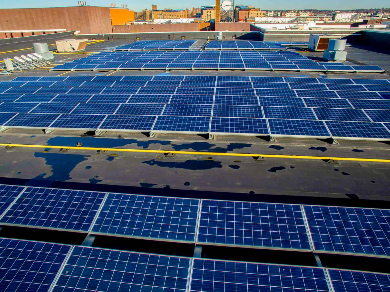 aerial photo looking down at solar panels in a field