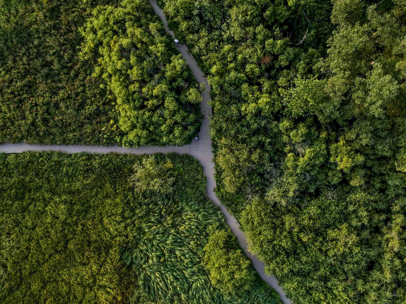 top down drone photo of Huff Park trails in Grand Rapids, MI