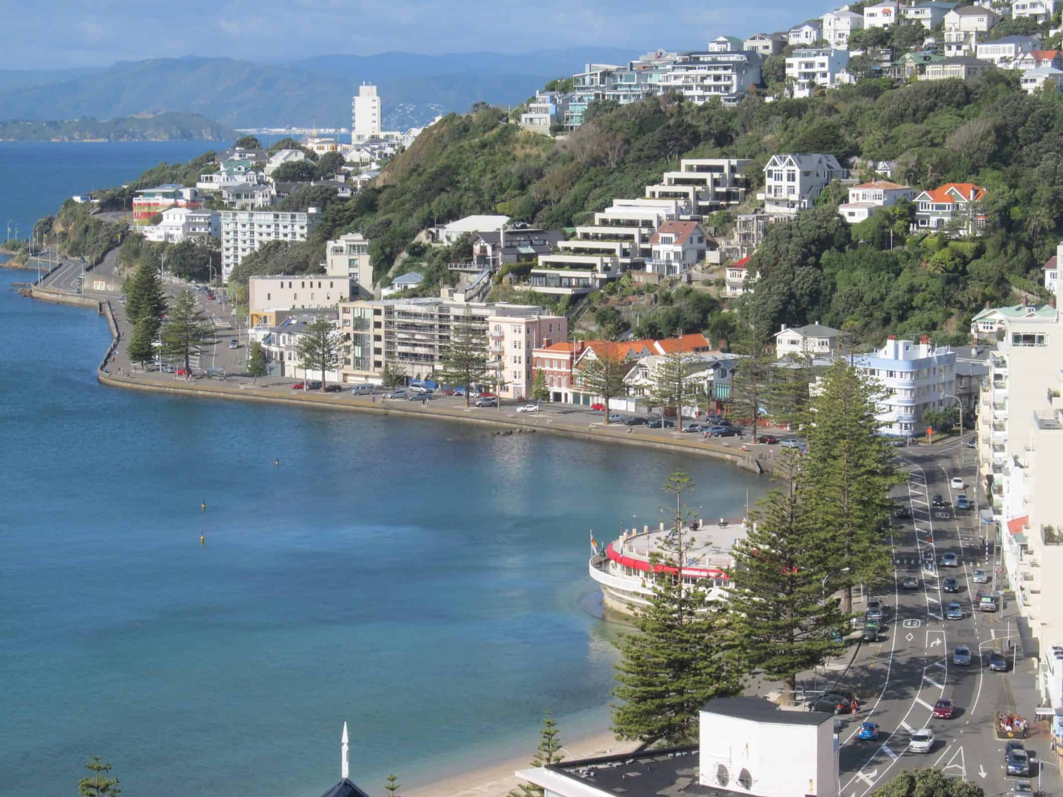 sea coast dock town bay harbor marina port waterfront tourism wellington new zealand capitol cape birds eye view aerial photography oriental bay 838053