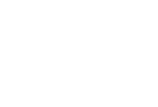 VRoid