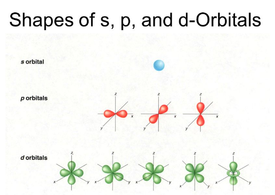 If m = 0 electron is present in: