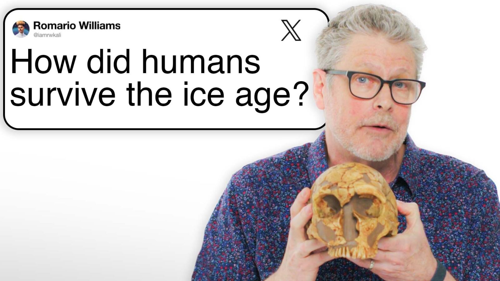 Paleoanthropologist Answers Caveman Questions From Twitter | Tech Support | WIRED