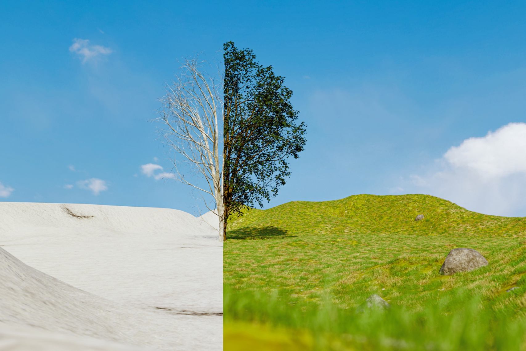 Half Snowy Landscape, half green landscape