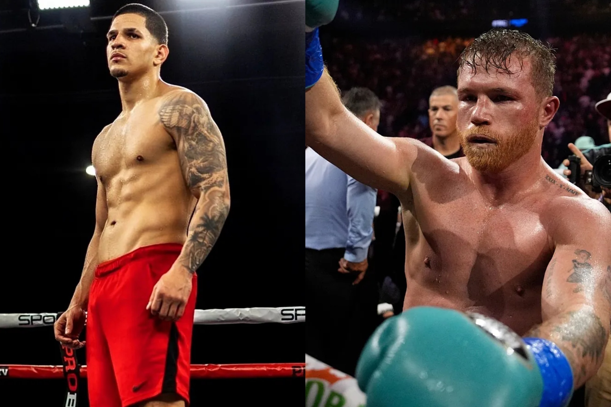 Berlanga and Canelo