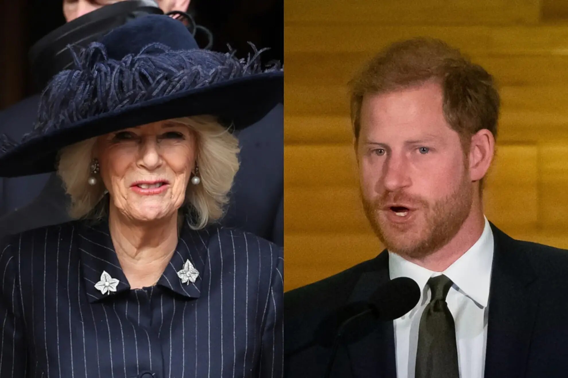 Queen Camilla and Prince Harry