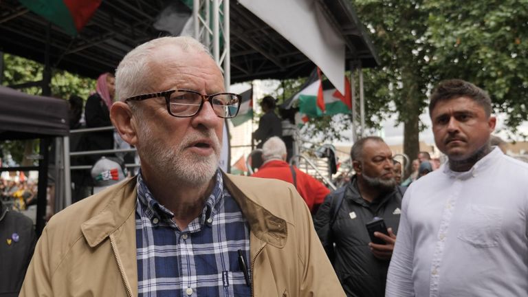 What do pro-Palestinian protesters think about Keir Starmer and Labour