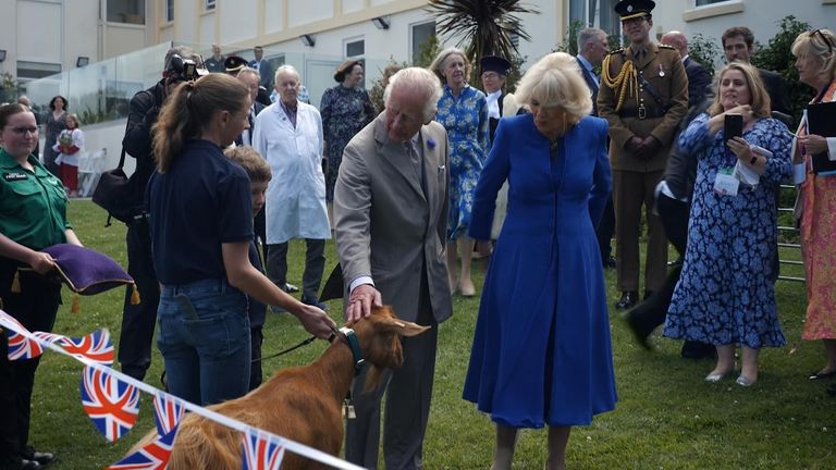 King and Queen present royal title to a goat
