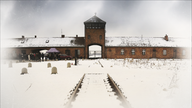 Oswiecim - Brzezinka, Auschwitz II - Birkenau concentration camp, Poland, January 17, 2024. Photo/Drahoslav Ramik (CTK via AP Images)


