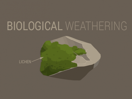 Biological Weathering