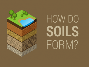 Soil Formation