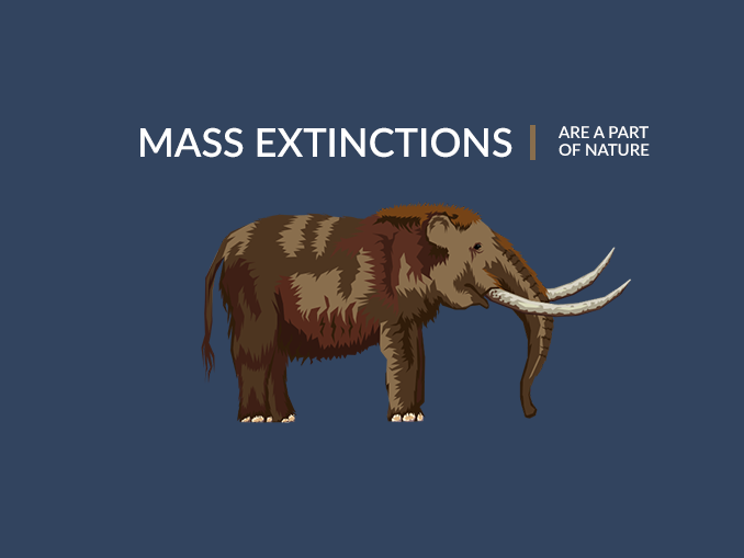 Mass Extinctions