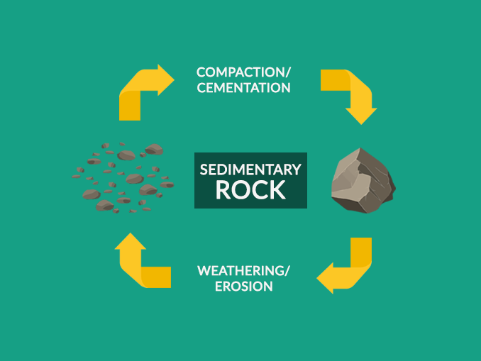 Sedimentary Rocks