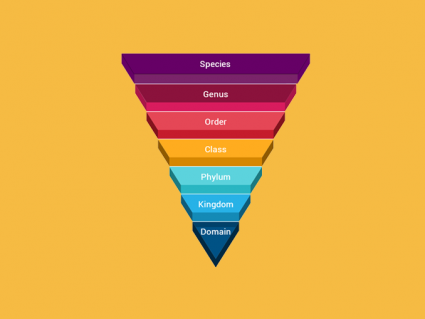 Taxonomic Classification