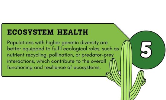 Ecosystem Health