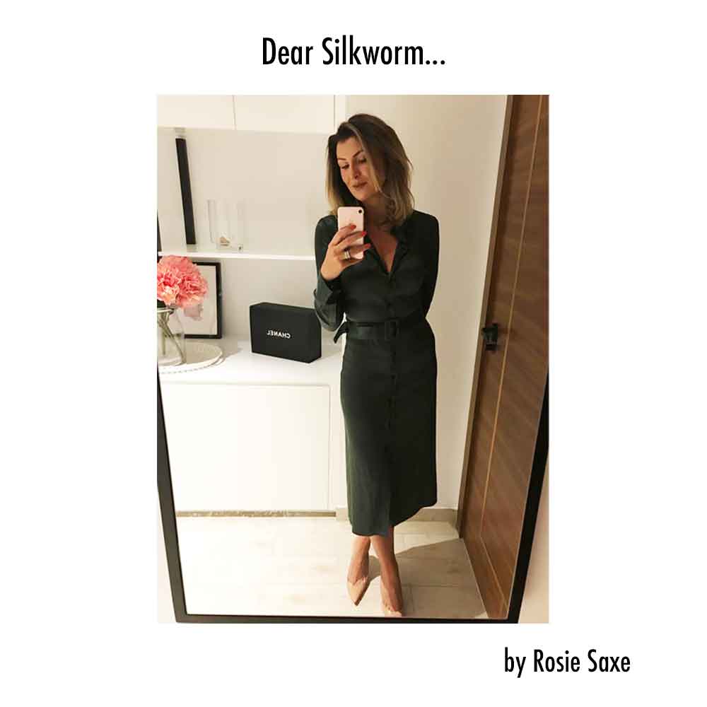 Dear Silkworm by Rosie Same good fashion guide ECOLOOKBOOK