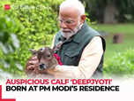 Meet PM Modi's new family member, ‘Deepjyoti’:Image