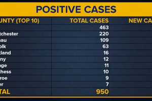 COVID-19: 24 New Coronavirus Cases Confirmed In Westchester As State Total Hits 950