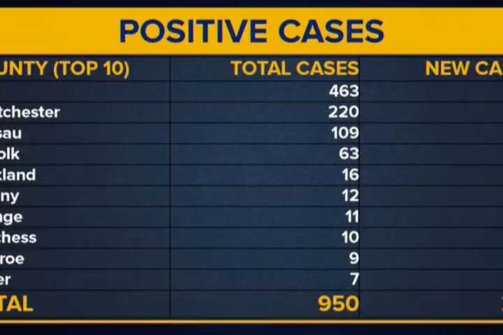 COVID-19: 24 New Coronavirus Cases Confirmed In Westchester As State Total Hits 950