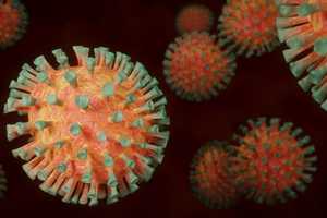 COVID-19: Cases Of Highly Mutated Pirola Strain Triple In 2 Weeks