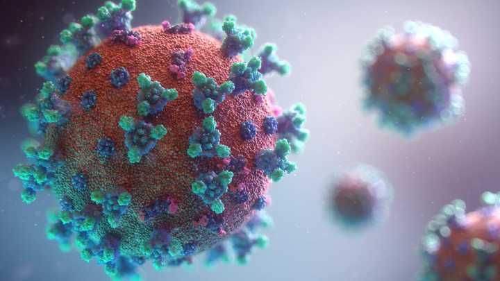 A newly identified offshoot of the Omicron variant now known as Eris has already become the most prevalent version of the COVID-19 virus in the United States.