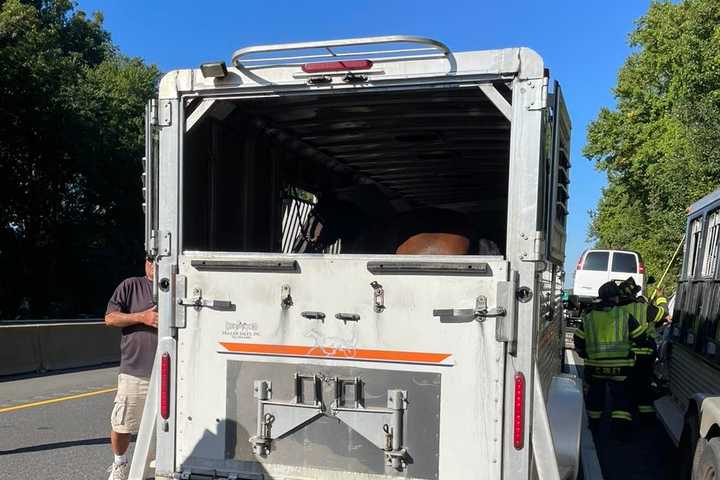 Horses Extricated From Trailer In NJ Turnpike Crash, Firefighters Say