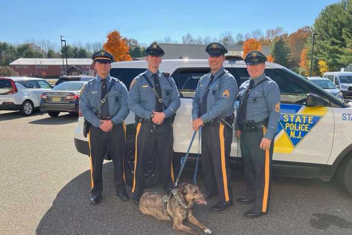 Malnourished Dog Adopted By Police In Sussex County Comforts Those In Need: NJSP