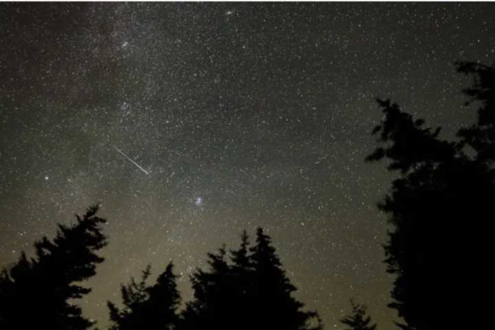 Here's When To Watch Most Popular Meteor Show Of Year