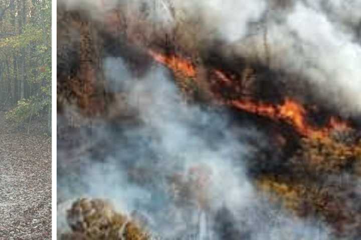 'Extremely Dry Conditions' Lead To Four-Acre Brush Fire In Southern Maryland: Authorities