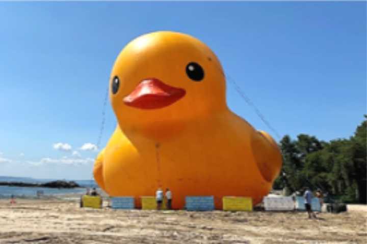 Spec-Quack-ular: 'World's Largest Rubber Duck' Coming To Amusement Park In Westchester