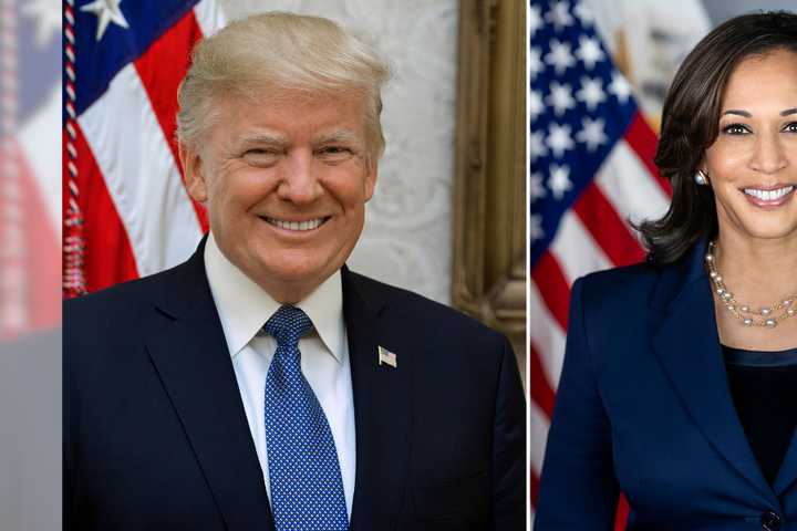 Brand-New Poll Reveals NYers Preference In Harris-Trump Presidential Race