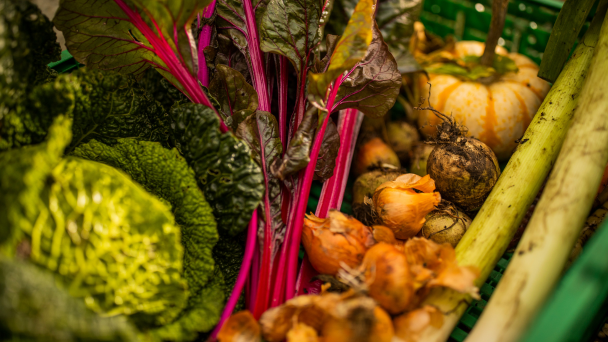 A crate of different vegetables.