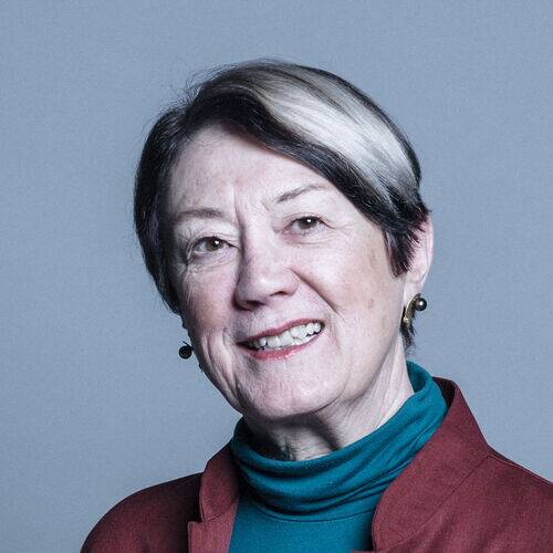 Diana Warwick, Baroness Warwick of Undercliffe