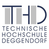 Deggendorf Institute of Technology logo