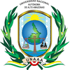 National Autonomous University of Alto Amazonas logo