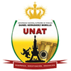 National Autonomous University of Tayacaja logo