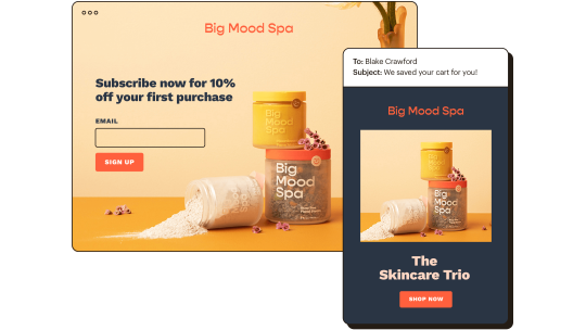 Website Email Abstract UI Big Mood Spa Marketing