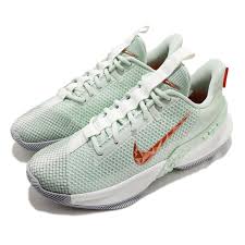 Comparison shop for custom lebron james shoes home in home. Nike Lebron Ambassador Xiii 13 James Empire Jade Green Men Basketball Cq9329 300 Ebay