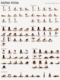 Hatha yoga helps in relieving inflammatory diseases like arthritis. 38 Best Hatha Yoga Ideas Hatha Yoga Hatha Yoga