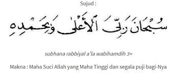 Bacaan ruku dan sujud membetulkan solat menurut sunnah ustaz mohd dzul khairi mohd nor.mp3. Bacaan Niat Dan Tata Cara Sholat 5 Waktu Perhatikan Dengan Baik