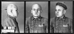 Identification pictures of a prisoner, accused of homosexuality, recently arrived at the Auschwitz concentration camp.